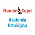 Anatomía Patológica HURyC (@RyCPatologia) Twitter profile photo