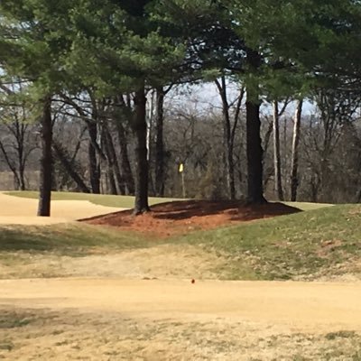 I’ve rebounded enough. Time to play golf and make fun of the president