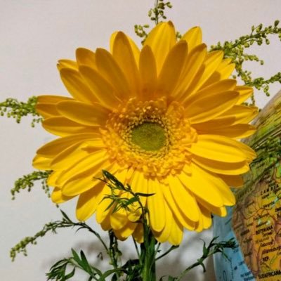 esposa, mamá, abuela,amo a Dios sobre todas las cosas.