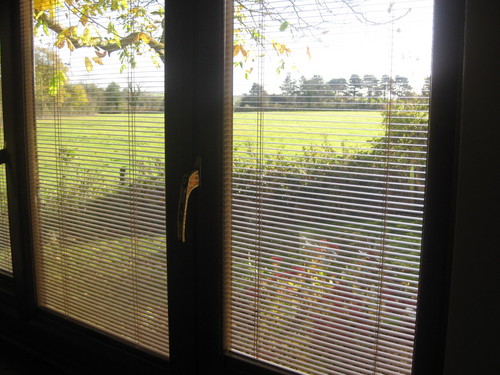 We ARE a leading manufacturer of Integral Venetian Blinds supplying both commercial and domestic users in the UK and Europe.