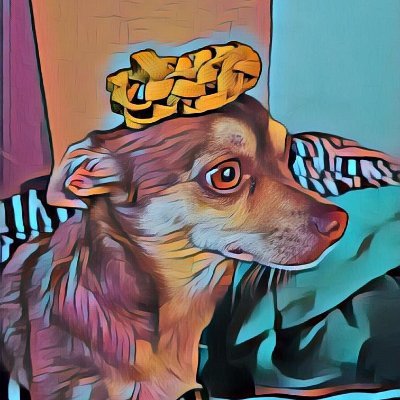 XDracoDragoonX's profile picture.