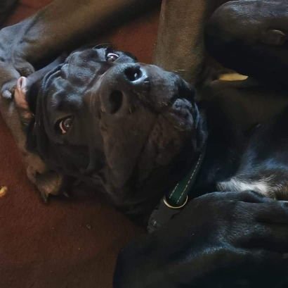 Puce_2606's profile picture. 