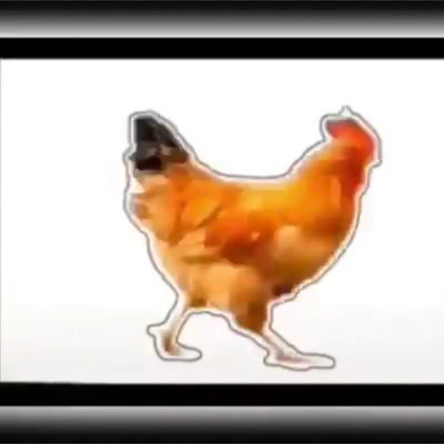 Quantfusion2025's profile picture. Tall