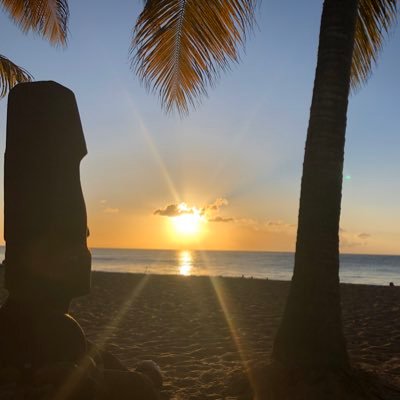 LSouwi's profile picture. 