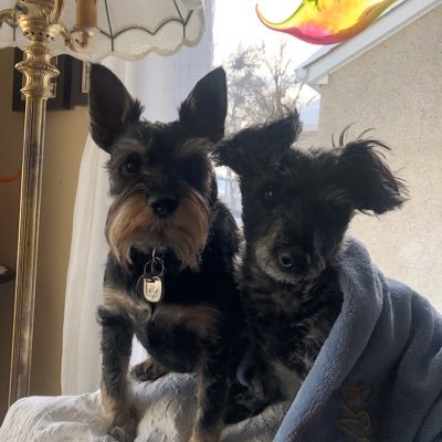 MRhodenizer's profile picture. 