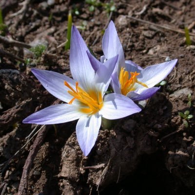 Biyolojik çeşitliliğin korunması ve geliştirilmesi amacıyla kurulmuştur. Biodiversity, endemic species, conservation, endangered species, habitats, keystone