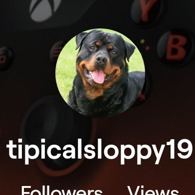 hi am a twitch streamer go check out my channel at https://t.co/IfsZLeEx3G special thanks to my sponsor triumph chairs use sloppy19 for 10% off thank y