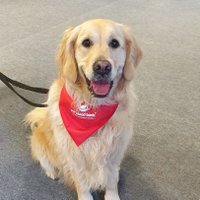 Laura Baillie Law 🌸 (@ljblaw) 's Twitter Profile Photo Laura Baillie Law 🌸 (@ljblaw) 's Twitter Profile Photo