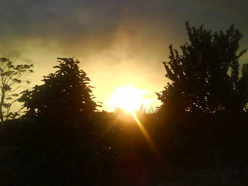 elis_rock's profile picture. Jesus is the rock ...
follow Jesus!