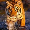 daniel jahnke - @sunsetvistadano - Twitter