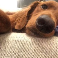 Jack (@jackbwheeler) 's Twitter Profile Photo