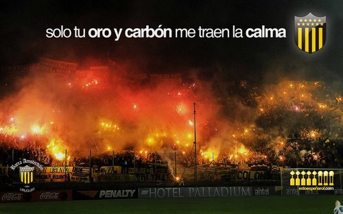 DEVIVE's profile picture. 