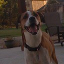 Sean Fifield - @TheSeanFifield - Twitter