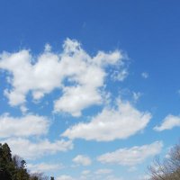 ひー (@st_1103_tiger) 's Twitter Profile