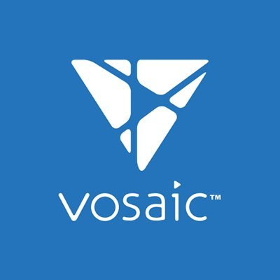 Vosaic Profile Picture