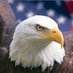 EagleTech (@switbro) Twitter profile photo EagleTech (@switbro) Twitter profile photo