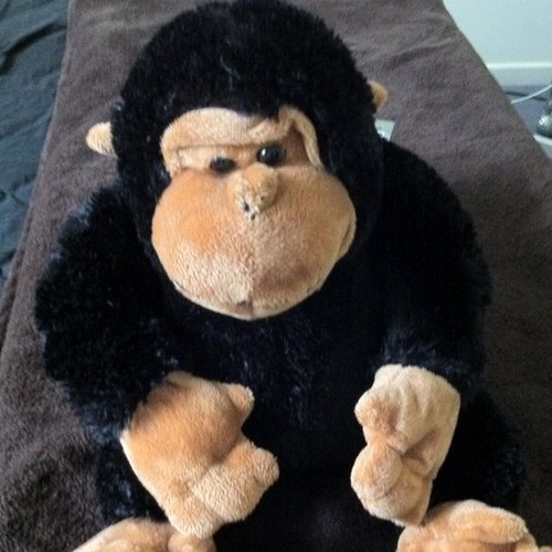 samjenn's profile picture. Hello, i don't bite.