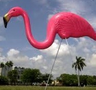 ClassySouthFLA's profile picture. ☼Everyday SOUTH FLORIDA--Events, breaking news, real-time photos, & tweets from the locals. Find out what's going on here first. Got something? We'll ReTweet! ☂