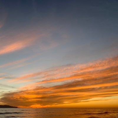 piahoo's profile picture. Empresario, músico experimental, amante de la gastronomía.