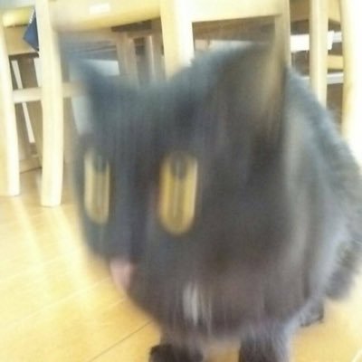エドモンさんのプロフィール画像
