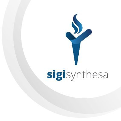 Sigi Synthesa is a market research and strategy consulting firm composed of visionary senior market researchers and consultants