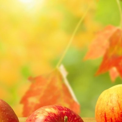 riazbajwa7's profile picture. bio parhi hi nahi ❤️