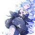 昵称加载中 (@shelterovo) Twitter profile photo 昵称加载中 (@shelterovo) Twitter profile photo