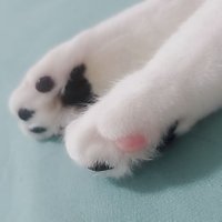๐์ฝฉ๋ก์ฐฐ๋ก๐ฟ (@ricecakenme) 's Twitter Profile Photo ๐์ฝฉ๋ก์ฐฐ๋ก๐ฟ (@ricecakenme) 's Twitter Profile Photo