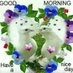 Azad (@azad56805847) Twitter profile photo Azad (@azad56805847) Twitter profile photo