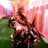 SUDHIRK81894188's profile image