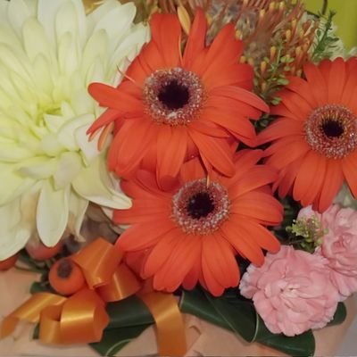 5CTPNpVWVh3PVZh's profile picture. 