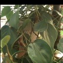 Deborah Friedberg - @wearewhere - Twitter