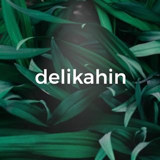KahinDeli's profile picture. 