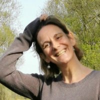 lijn (@lijn) 's Twitter Profile