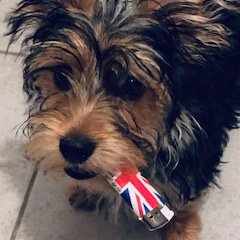 BrneyTrouble1's profile picture. 🇬🇧🇵🇱 Retweets and likes are not endorsements.