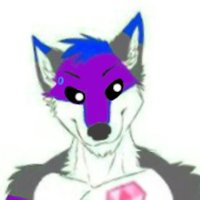 🐾Akos Wolf🐾 (@akoswolf3) 's Twitter Profile
