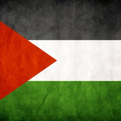 Ny4Palestine Profile Picture