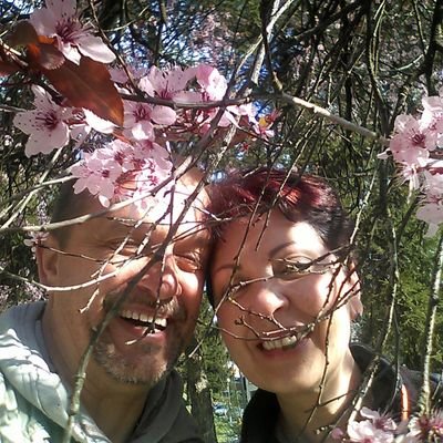 Vladimir Radovanović