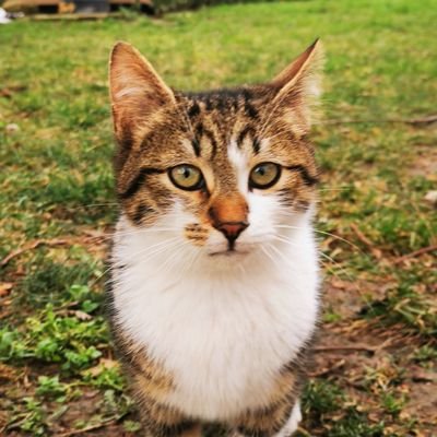 amstel1515's profile picture. amstel1515@gmail.com