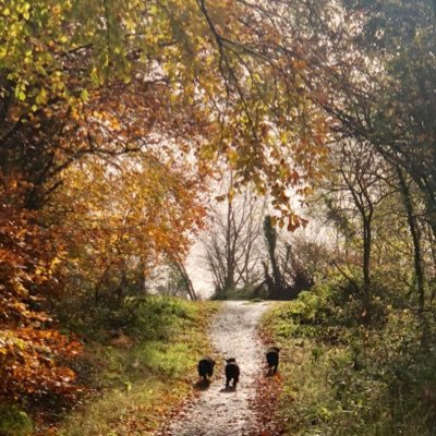 edelbrangan1's profile picture. Wife, Mum, Dog lover, Cancer Nurse, TVN & RANP.