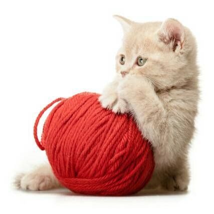 rostislav_valek's profile picture. 