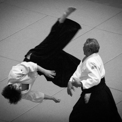 AikidoTW's profile picture. #Aikido
