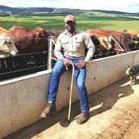 Ndumiso Gule (@ndumisogule1) 's Twitter Profile Photo Ndumiso Gule (@ndumisogule1) 's Twitter Profile Photo