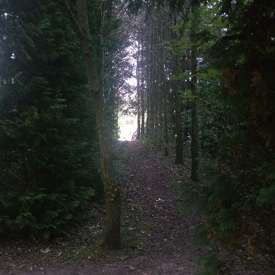 Crafty_Carp's profile picture. Carp Angler & Course Fisherman. 
 Newcastle United Supporter. #NUFC

Trade, Carpenter, Joiner.