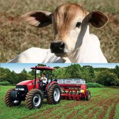 Mário Freire (Desde 2009) - Fazendas e sítios à venda na Bahia.
(71) 9 9983-4098 (Whatsapp) - Creci/Ba 12.603
Visite nosso site 👇