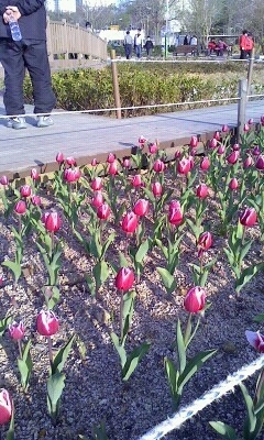 매일이 행복한 삶이 되기를 간절히 바라는 이들중 1인