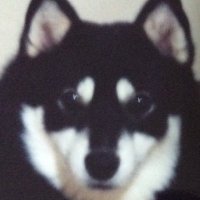 郁子 (@ew000mtm9bpul9t) 's Twitter Profile