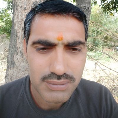 Rajeshm02008544's profile picture. 