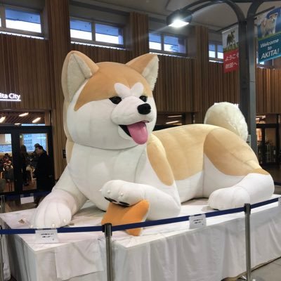 vegalta1112's profile picture. 宮城県仙台市生まれ。現在、単身赴任で東京勤務、現在2年目。趣味はうなぎ釣りと息子とのコミュニケーションであるウイニングイレブン。