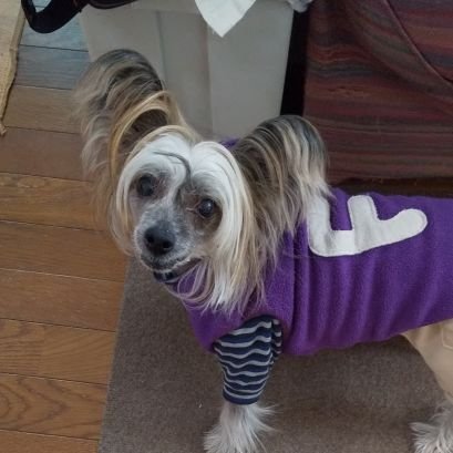 zmFM9jSsarLXPIS's profile picture. 